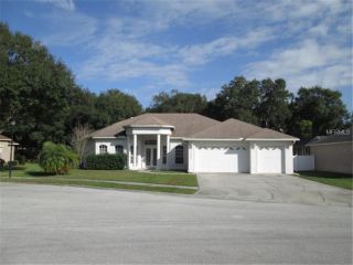 Foreclosed Home - 14923 Evershine St, 33624