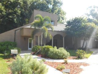 Foreclosed Home - 12108 Cypress Hollow Pl, 33624