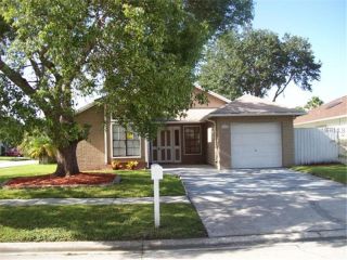 Foreclosed Home - 5302 SOUTHWICK DR, 33624
