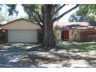 Foreclosed Home - 4008 DELLBROOK DR, 33624