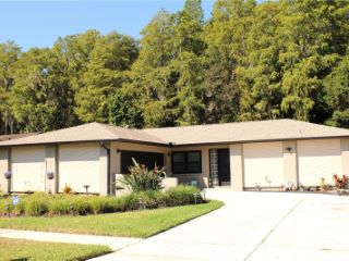 Foreclosed Home - 16202 OAKMANOR DR, 33624