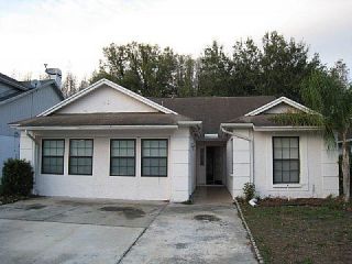 Foreclosed Home - 11238 ELMFIELD DR, 33625
