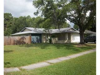 Foreclosed Home - 13906 COUNTRY COURT DR, 33625