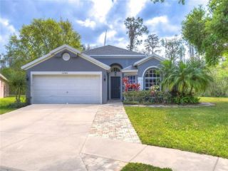 Foreclosed Home - 13401 STAGHORN RD, 33626