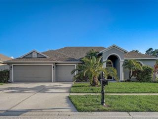 Foreclosed Home - 12909 TAR FLOWER DR, 33626