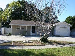 Foreclosed Home - 6406 OLYMPIA AVE, 33634