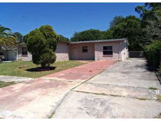 Foreclosed Home - 6411 AMUNDSON ST, 33634