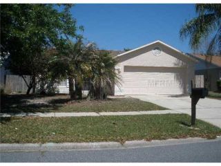 Foreclosed Home - 11132 WINDPOINT DR, 33635