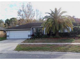Foreclosed Home - 11404 PALM PASTURE DR, 33635