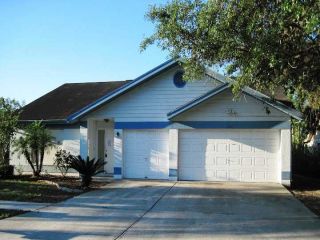 Foreclosed Home - 11929 STEPPINGSTONE BLVD, 33635