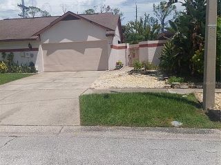 Foreclosed Home - 7045 SILVERMILL DR, 33635