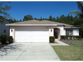 Foreclosed Home - 18121 SANDY POINTE DR, 33647