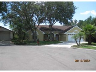 Foreclosed Home - 18201 CYPRESS STAND CIR, 33647