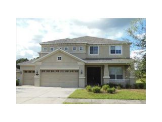 Foreclosed Home - 10844 BREAKING ROCKS DR, 33647