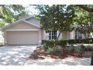 Foreclosed Home - 9313 KNIGHTSBRIDGE CT, 33647