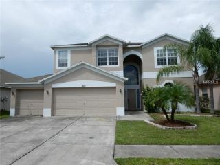 Foreclosed Home - 18317 Cypress Haven Dr, 33647