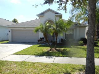 Foreclosed Home - 10507 LUCAYA DR, 33647