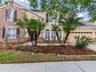 Foreclosed Home - 16119 COLCHESTER PALMS DR, 33647