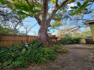 Foreclosed Home - 1835 YORK ST S, 33707