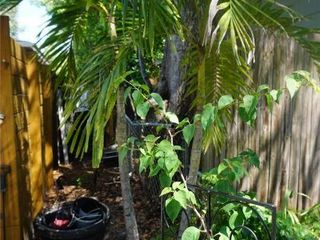 Foreclosed Home - List 100944074
