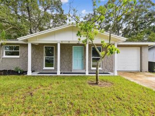 Foreclosed Home - 2801 CANDLEWOOD ST, 33759