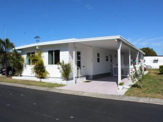 Foreclosed Home - 145 PINDO PALM ST W, 33770