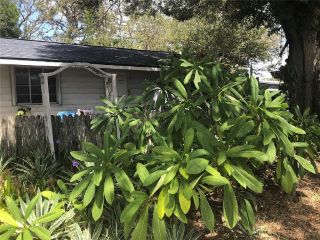 Foreclosed Home - 810 8TH AVE SW, 33770