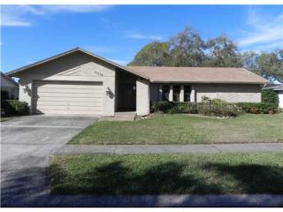 Foreclosed Home - 11534 TRADEWINDS BLVD, 33773