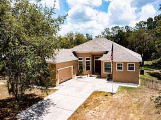 Foreclosed Home - 8915 PINECREST DR, 33809