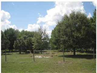 Foreclosed Home - 160 S ROBERTS RD, 33825
