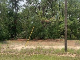 Foreclosed Home - List 100893547