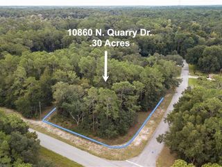 Foreclosed Home - 10860 N QUARRY DR, 34434