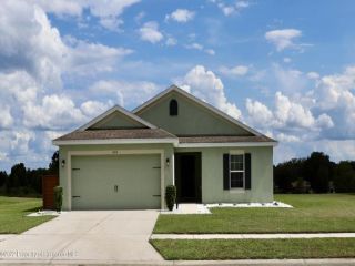 Foreclosed Home - 6616 WIREVINE DR, 34602