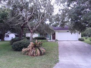Foreclosed Home - 7370 TURF LN, 34606