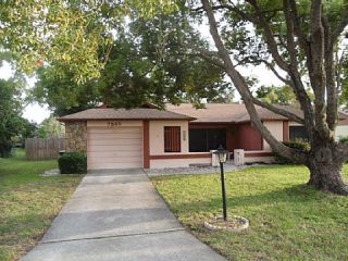 Foreclosed Home - 7345 PHILATELIC DR, 34606