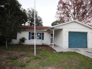 Foreclosed Home - 6127 NEWMARK ST, 34606