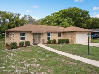 Foreclosed Home - 6790 TREEHAVEN DR, 34606