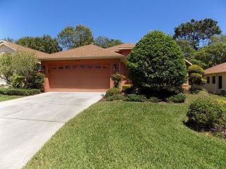 Foreclosed Home - 454 Candlestone Court, 34609