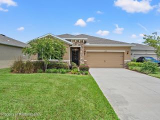 Foreclosed Home - 13787 HUNTING CREEK PL, 34609