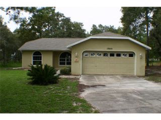 Foreclosed Home - 17643 CARTHAGE AVE, 34610