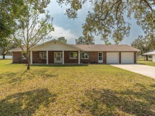 Foreclosed Home - 16218 FRINGE TREE DR, 34610