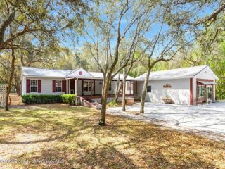 Foreclosed Home - 15212 PEACE BLVD, 34610
