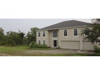 Foreclosed Home - 13103 HOUSE FINCH RD, 34614