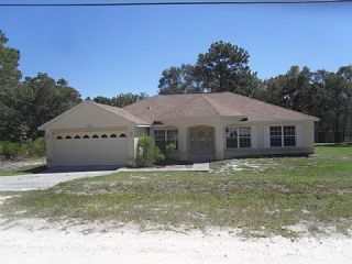 Foreclosed Home - 11218 HUMBER RD, 34614