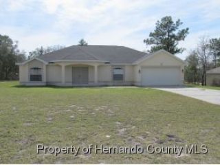 Foreclosed Home - 12366 SNOW GOOSE AVE, 34614