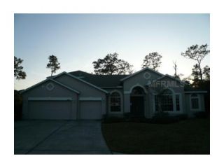 Foreclosed Home - 7004 PALMETTO PINES LN, 34637