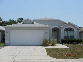 Foreclosed Home - 7814 FASHION LOOP, 34654