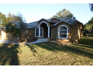 Foreclosed Home - 11434 MINNIEOLA DR, 34654