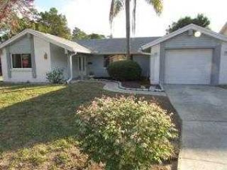 Foreclosed Home - 12210 PEPPER MILL DR, 34667