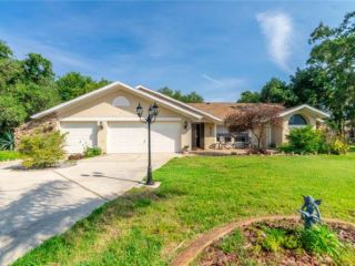 Foreclosed Home - 13743 FOREST RIDGE CT, 34667